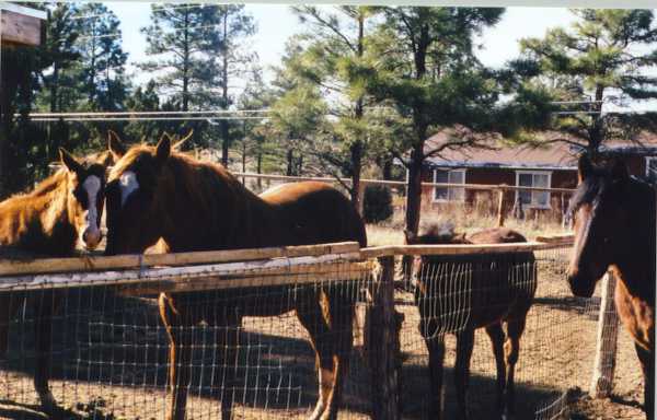 The nursery